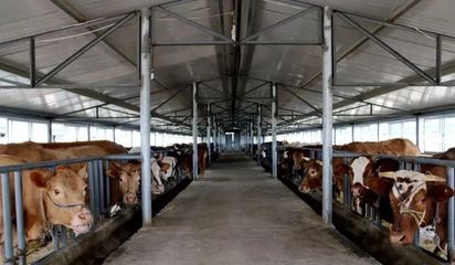 农业部取消170个畜禽养殖标准化不合格示范场资格 涉四川9家
