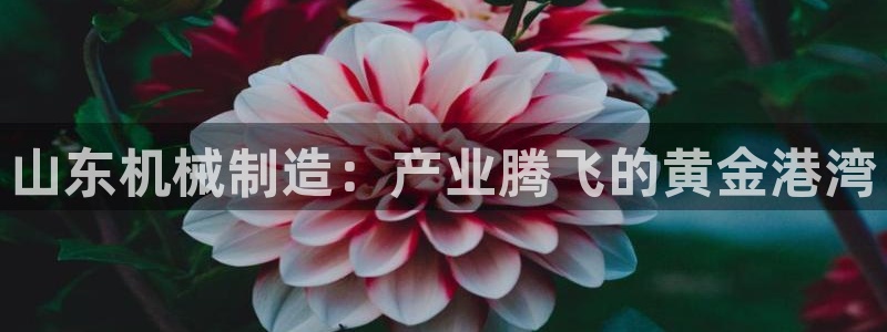 万事娱乐公司