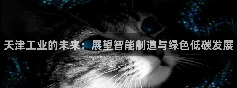 万事达娱乐经纪公司