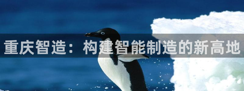 万事达娱乐官网