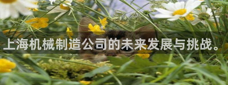 娱乐万事通焦作