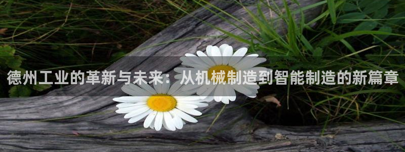 万事娱乐官网首页