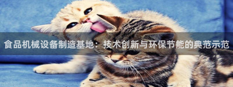 万事娱乐邵然