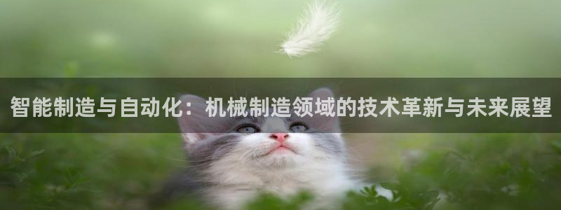 万事娱乐主管年薪多少