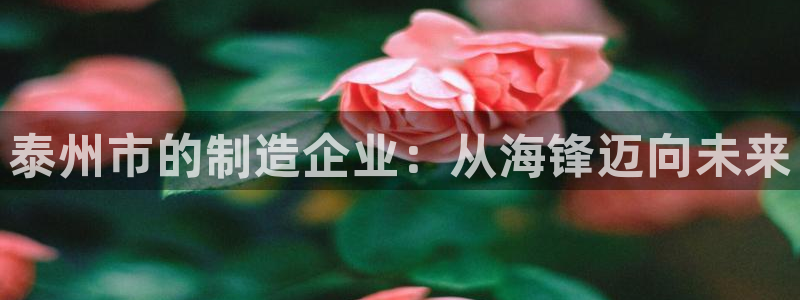 万事娱乐主管