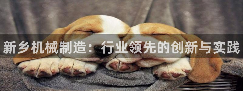 万事通娱乐网最新消息