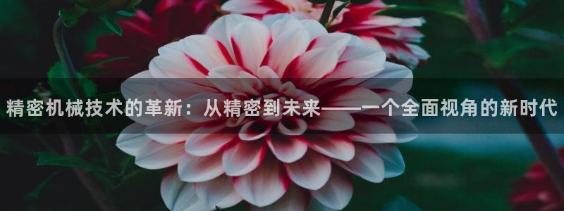 万事娱乐的介绍