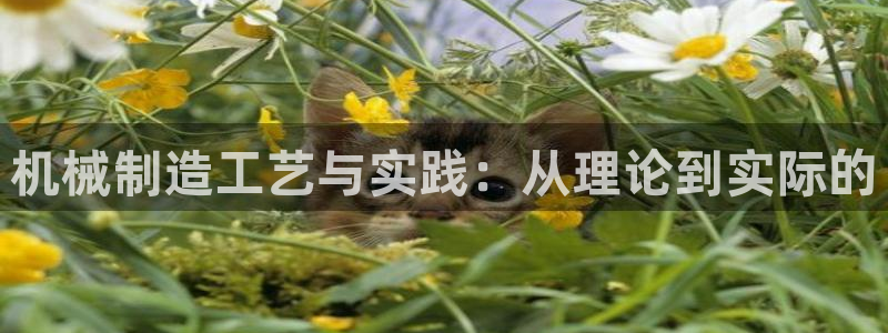 万事娱乐测速软件下载