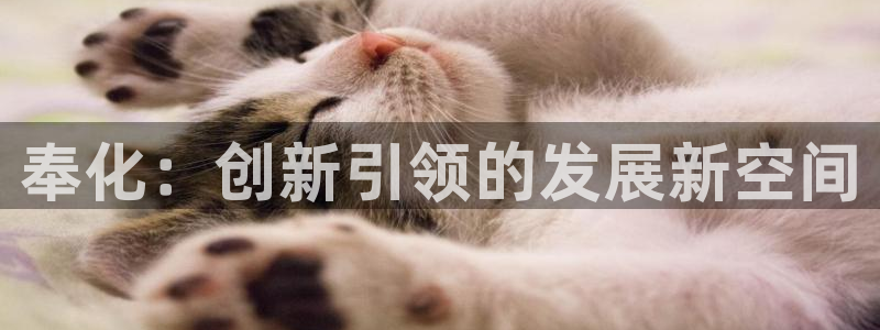 万事如意星河娱乐