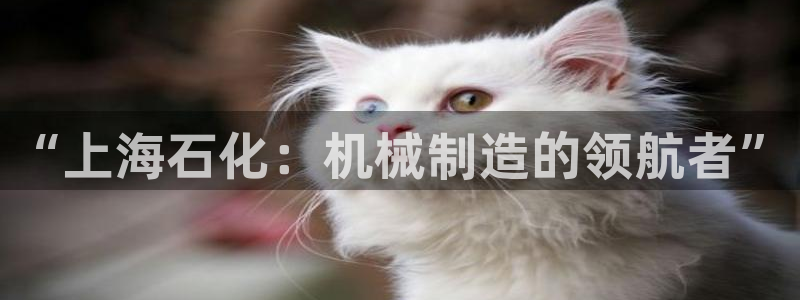 万事平台娱乐