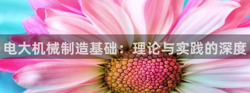 万事娱乐怎么拿代理