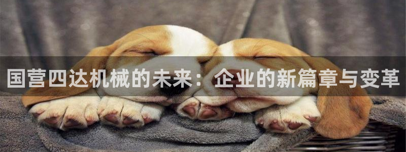 万事如意娱乐