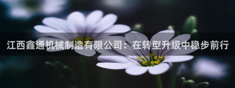 万事娱乐首页网址