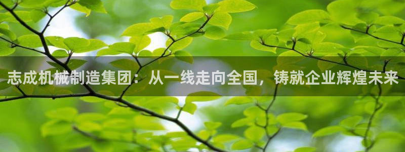万事娱乐计划下载