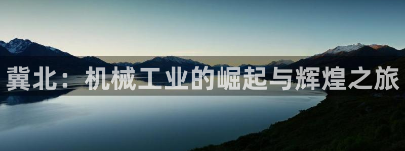 万事达娱乐股东