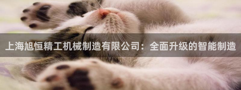 万事娱乐主管