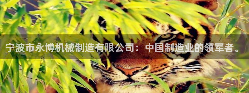 万事达娱乐指尖下腊