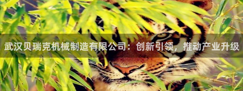 万事达娱乐唐善良