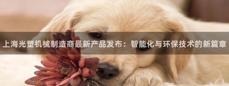 万事达娱乐指尖下