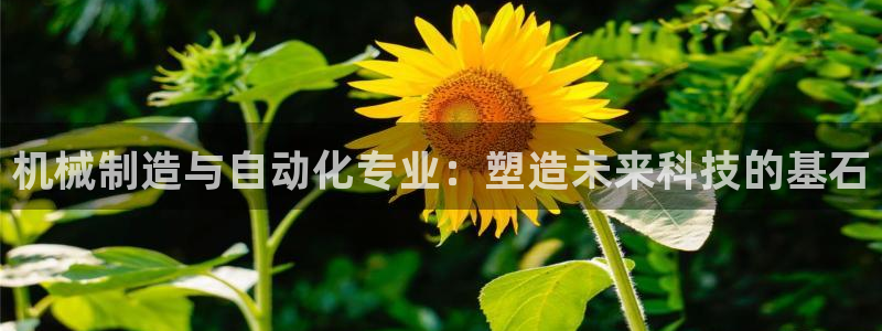 万事达娱乐a实力56262
