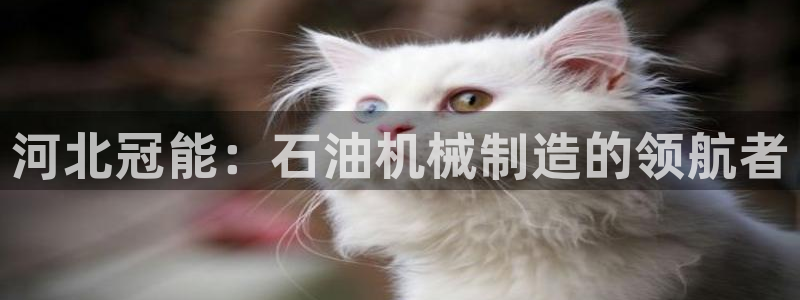娱乐制造机万事屋