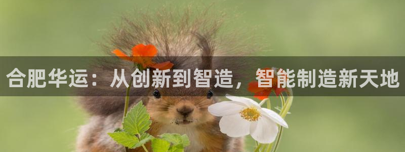 万事娱乐非同凡享