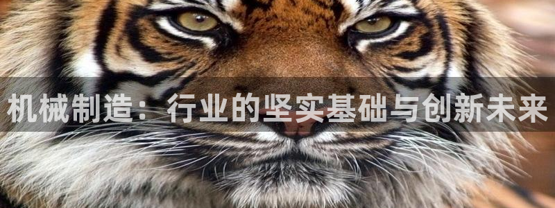 娱乐万事通1