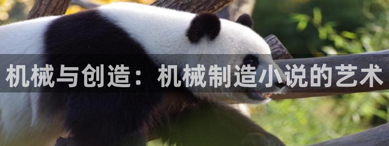 万事达娱乐P妙441200