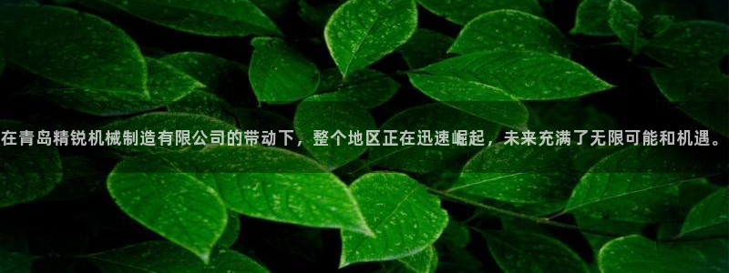 万事达娱乐上55312