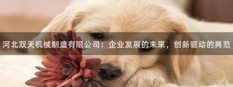 万事屋娱乐文化