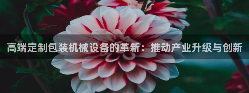 万事达娱乐程善良