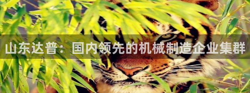 万事娱乐代理加盟电话
