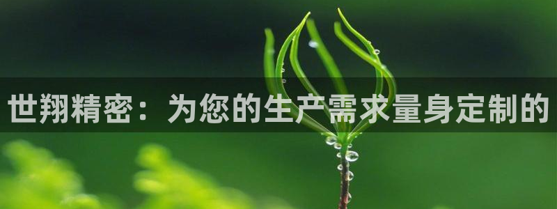 万事达娱乐荣誉21