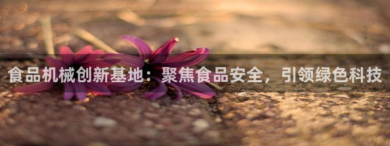 万事达娱乐经纪公司