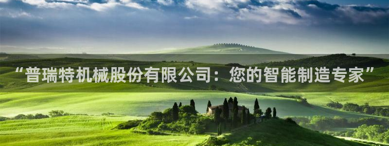 娱乐万事屋张宇