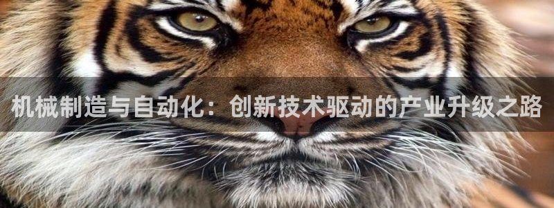 万事娱乐平台怎么样了啊