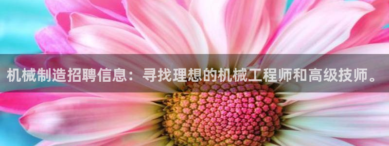 万事娱乐云机