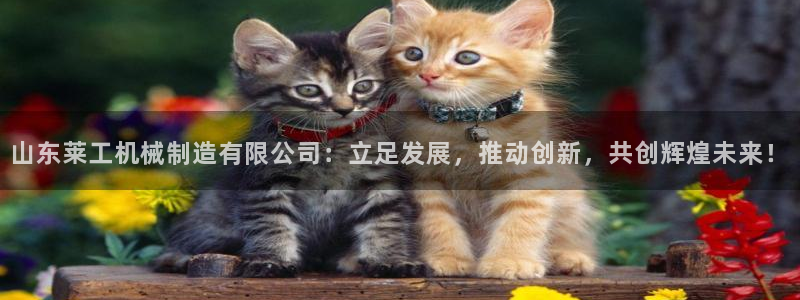 惠东万事达酒店娱乐