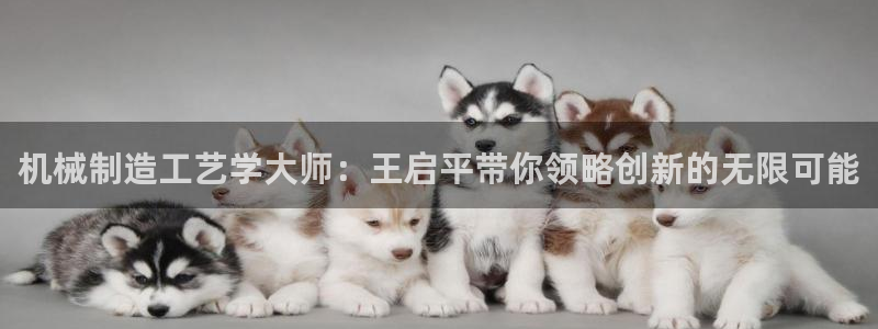 万事娱乐首页入口