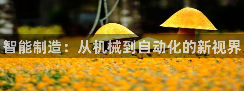 万事娱乐注册攀登