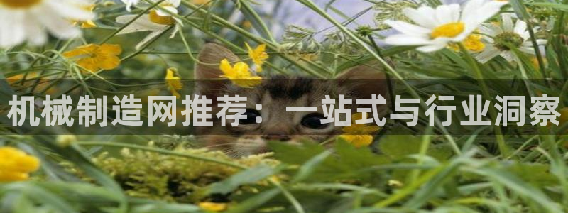 万事其昌娱乐传媒