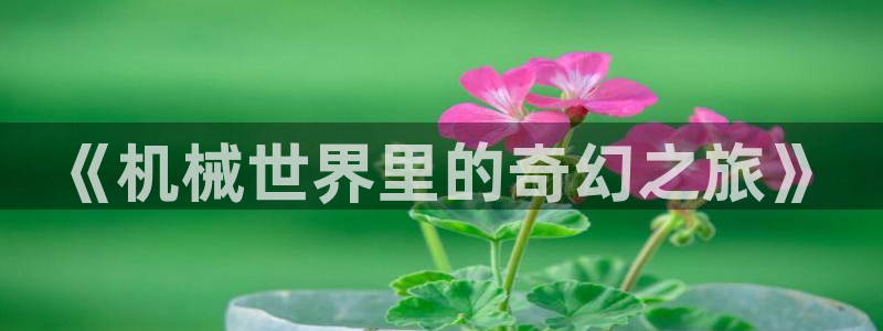 万事娱乐 找86555