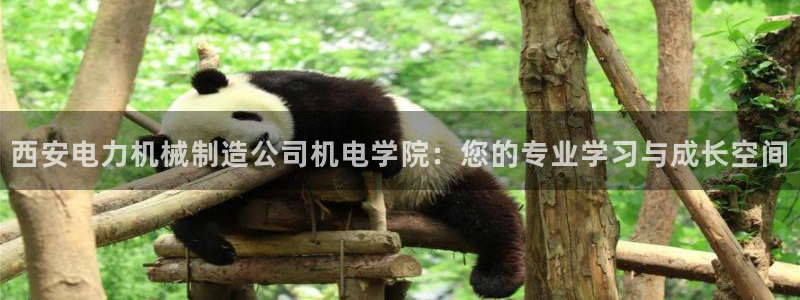 万事娱乐计划官网