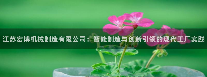 娱乐万事通直播