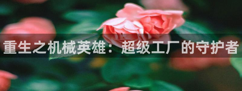 万事娱乐首页入口在哪