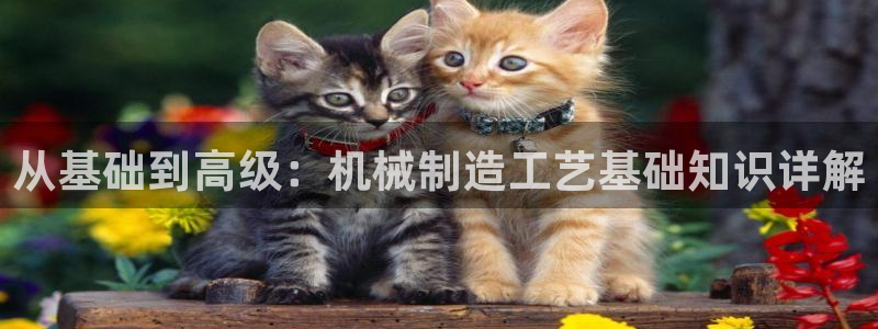 万事娱乐计划软件