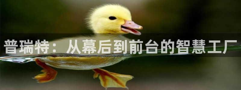 万事如意纯属娱乐