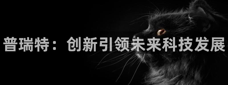 万事如意纯属娱乐