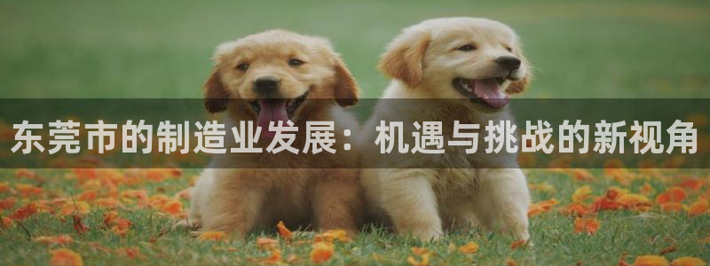 万事娱乐云端下载