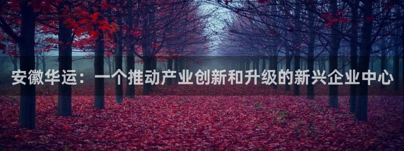 万事娱乐手机客户端